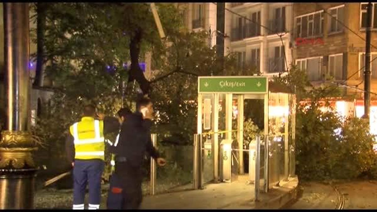 Yaşlı Çınar Ağacı Tramvay Yoluna Devrildi; 3 Yaralı