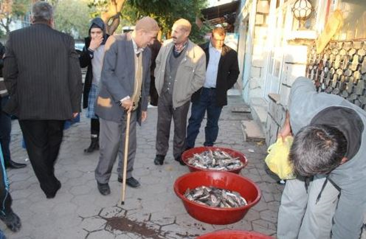 Botan Çayı\'ndaki Şabot Balığına Yoğun İlgi
