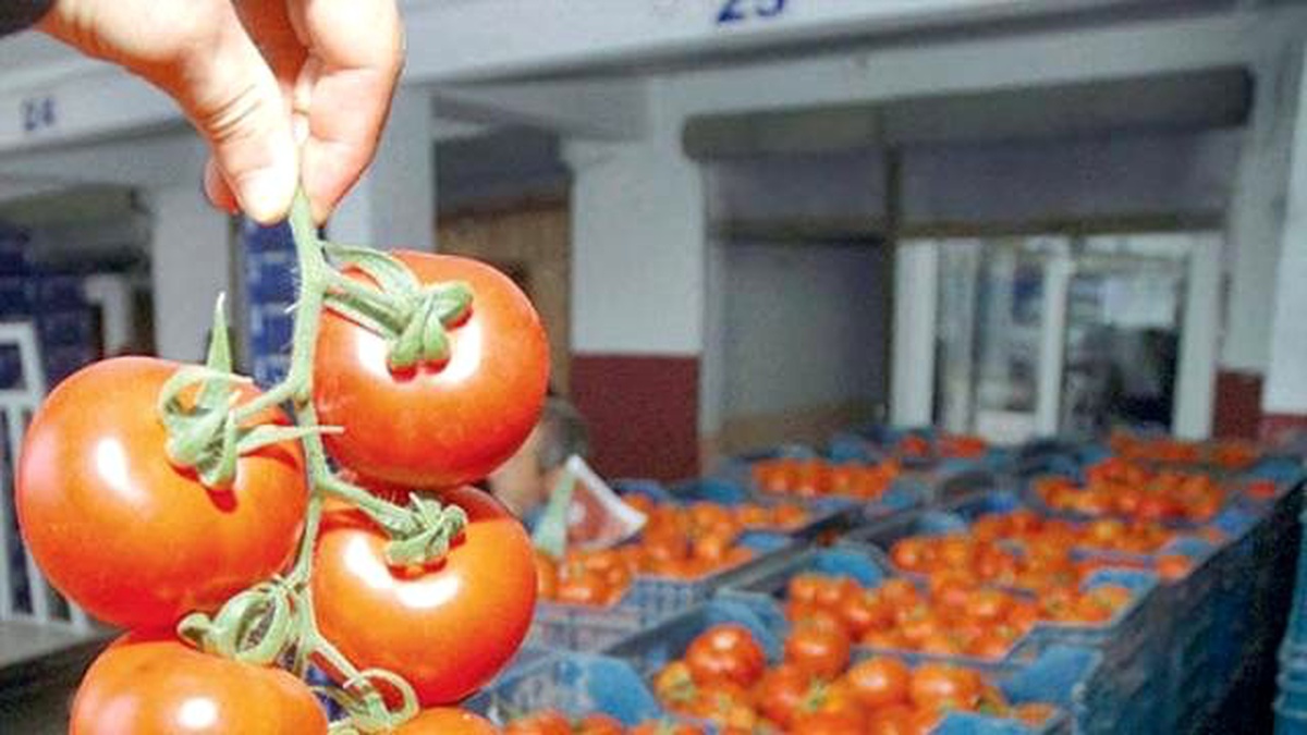 Ekim Ayında En Çok Domates Zamlandı