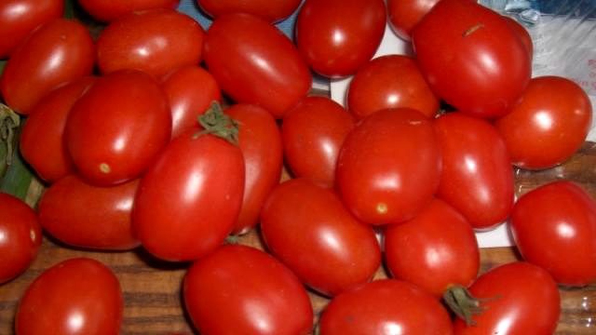 Ekimde Domates Zam, Limon İndirim Birincisi