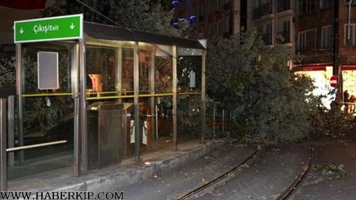Fatih\'te Tramvay Yoluna Ağaç Devrilmesi