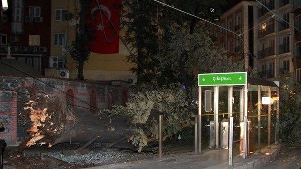 Gülhane\'de Tarihi Ağaç Tramvay Yoluna Devrildi: 3 Yaralı