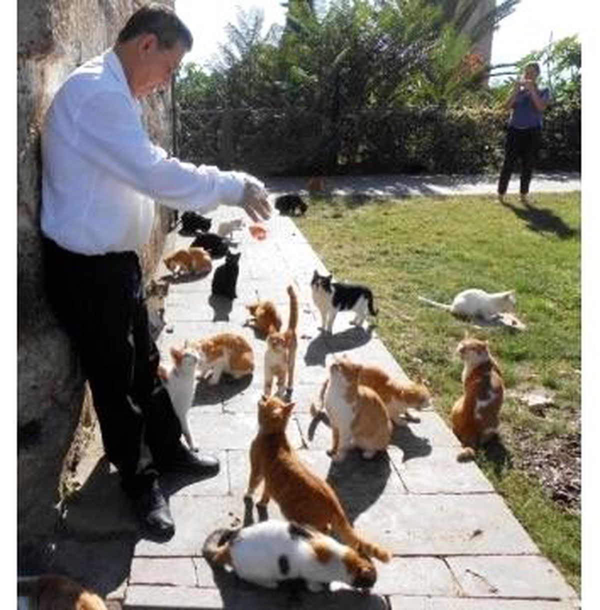 Antalya\'da Her Gün 90 Kedi Besliyor