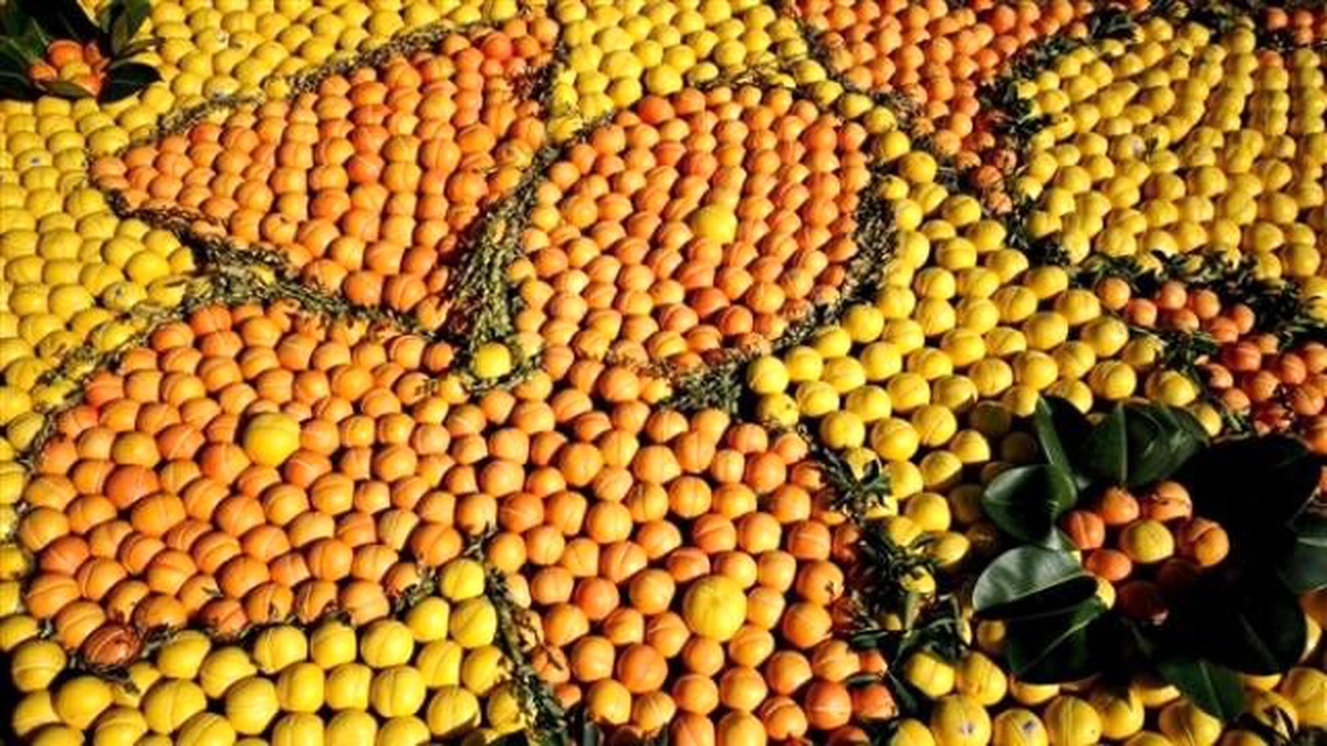 İhracatın Lokomotifi Narenciyede Rekolte İyi