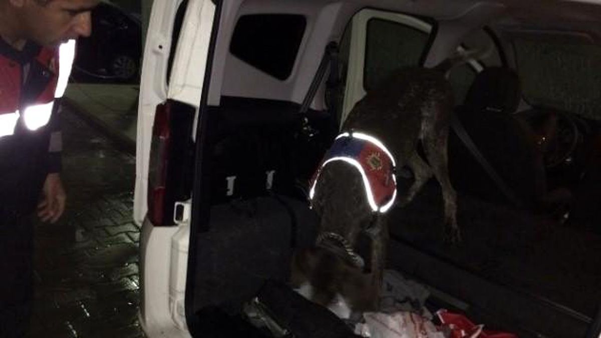 Jandarma Şüpheli Araçta Köpekle Uyuşturucu Aradı