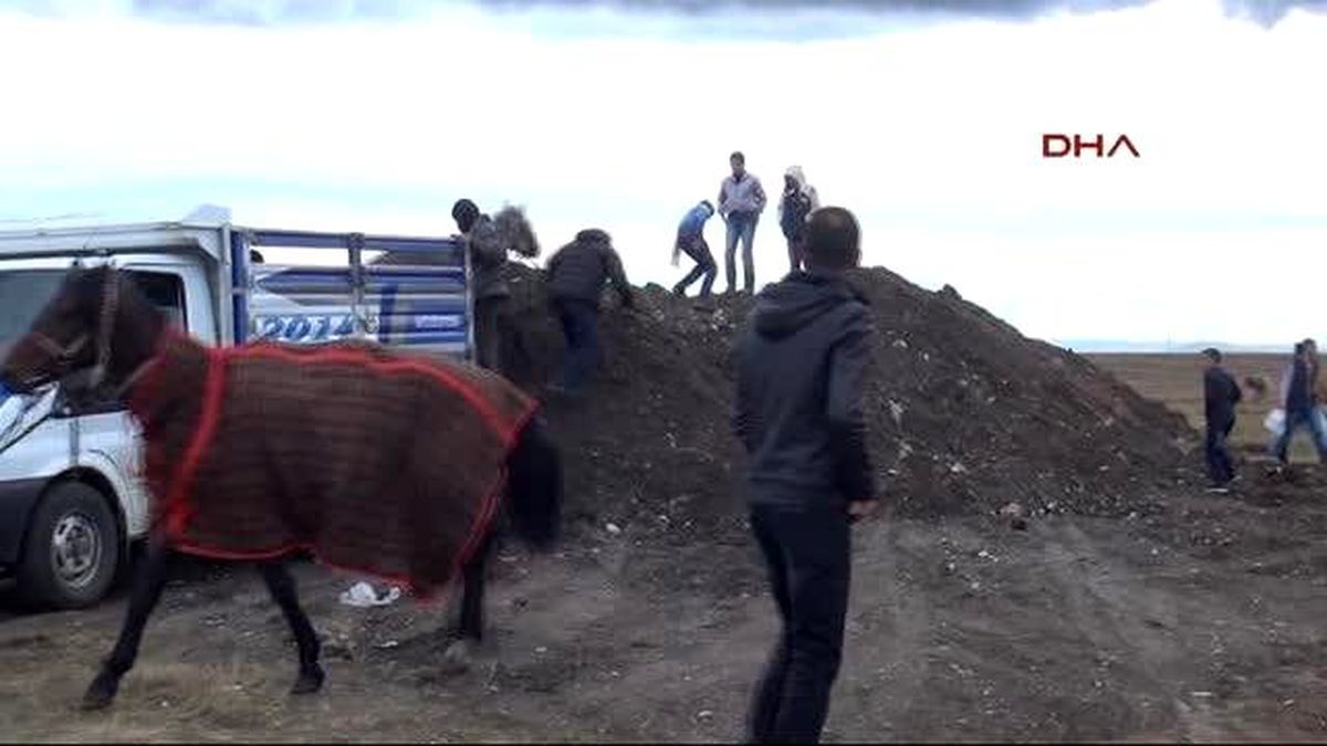 Kars Cirit Yarışlarına Soğuk Hava Engeli