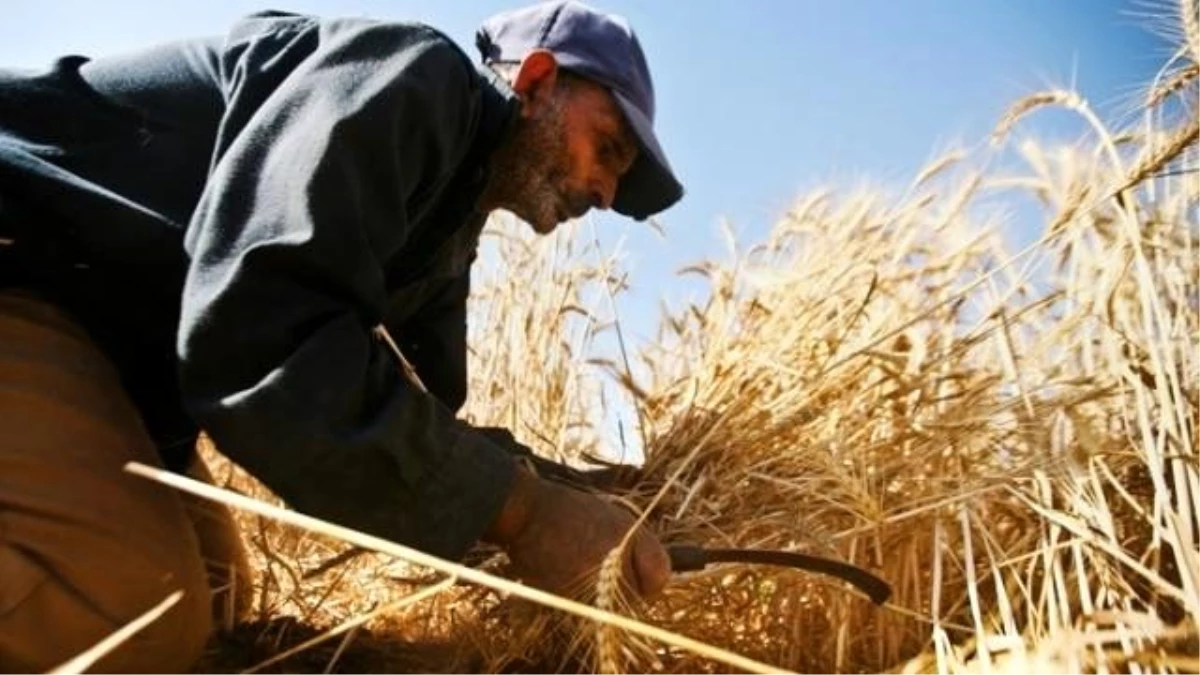 Kırıkkale\'de Çiftçilere Fark Ödemesi Müjdesi