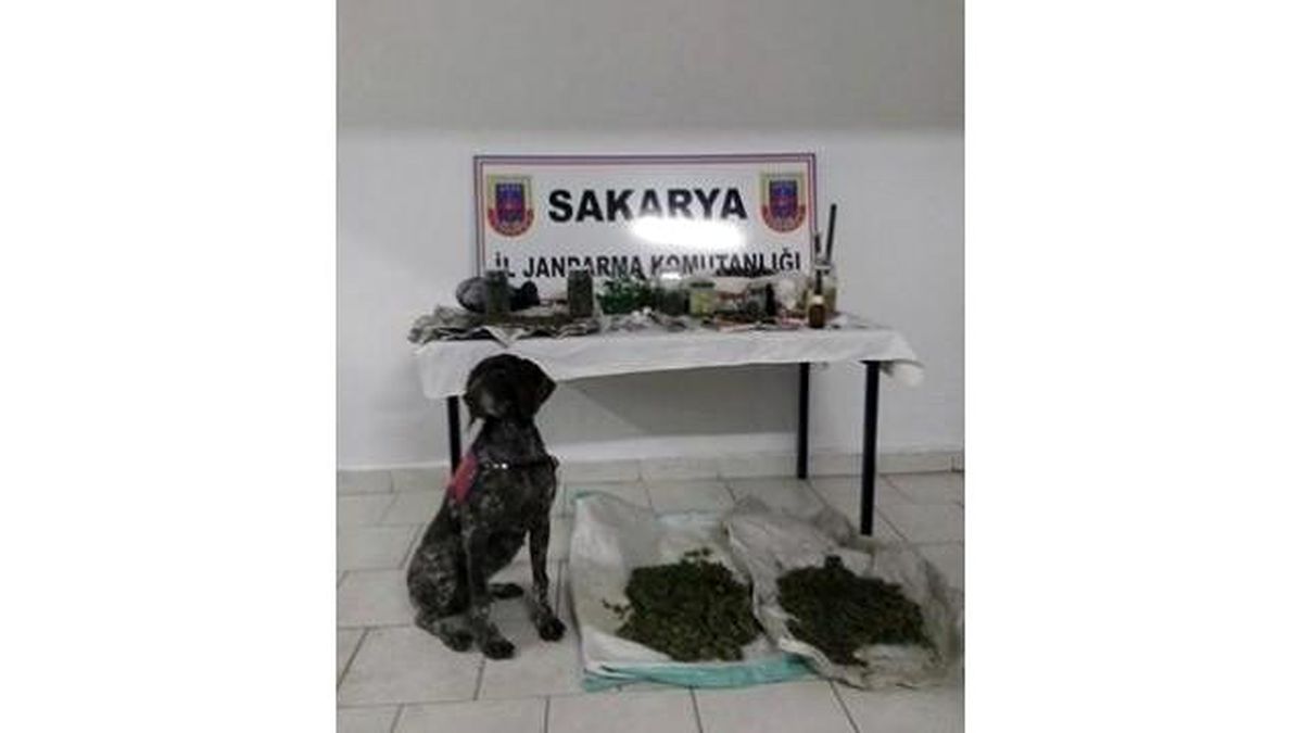 Sakarya\'da Uyuşturucu Operasyonu