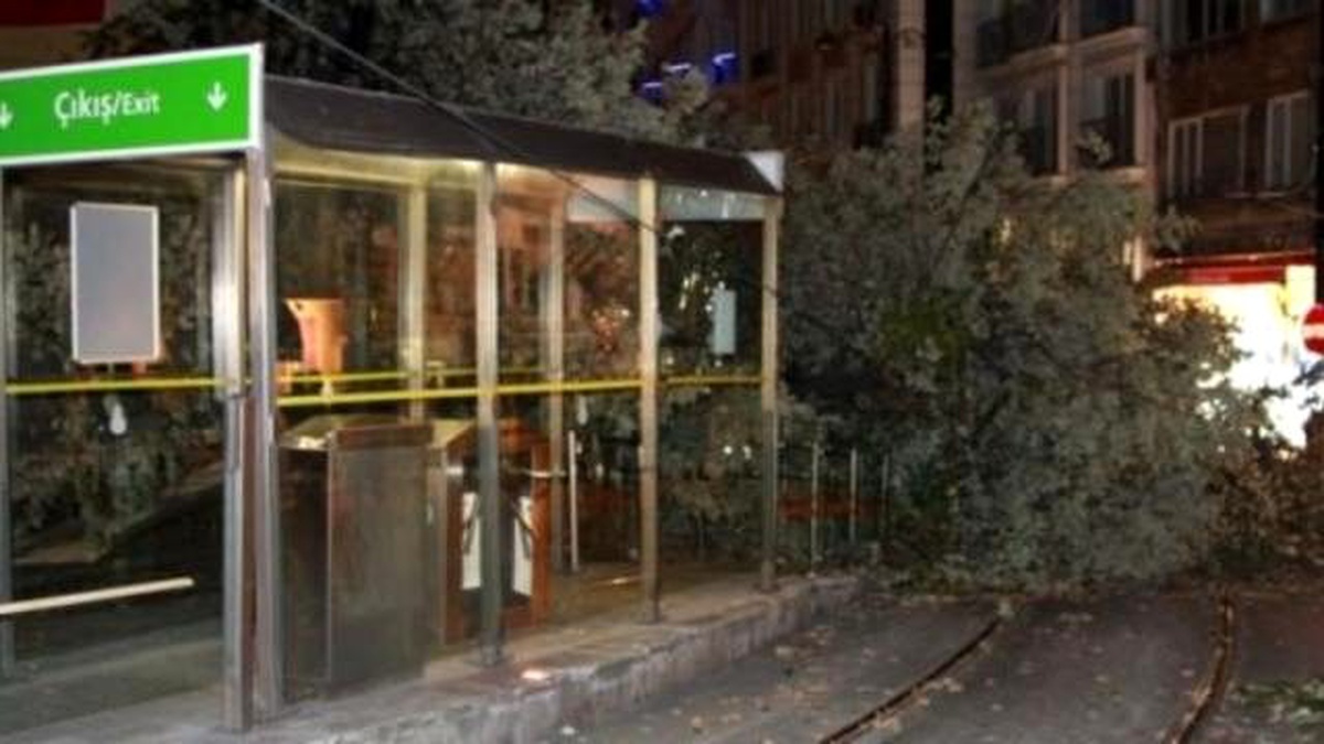 Tramvay Durağına Devrilen Ağaç Seferleri Aksattı