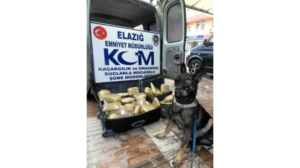 Valiz İçinde 54 Kilo Esrar\'a 3 Tutuklama