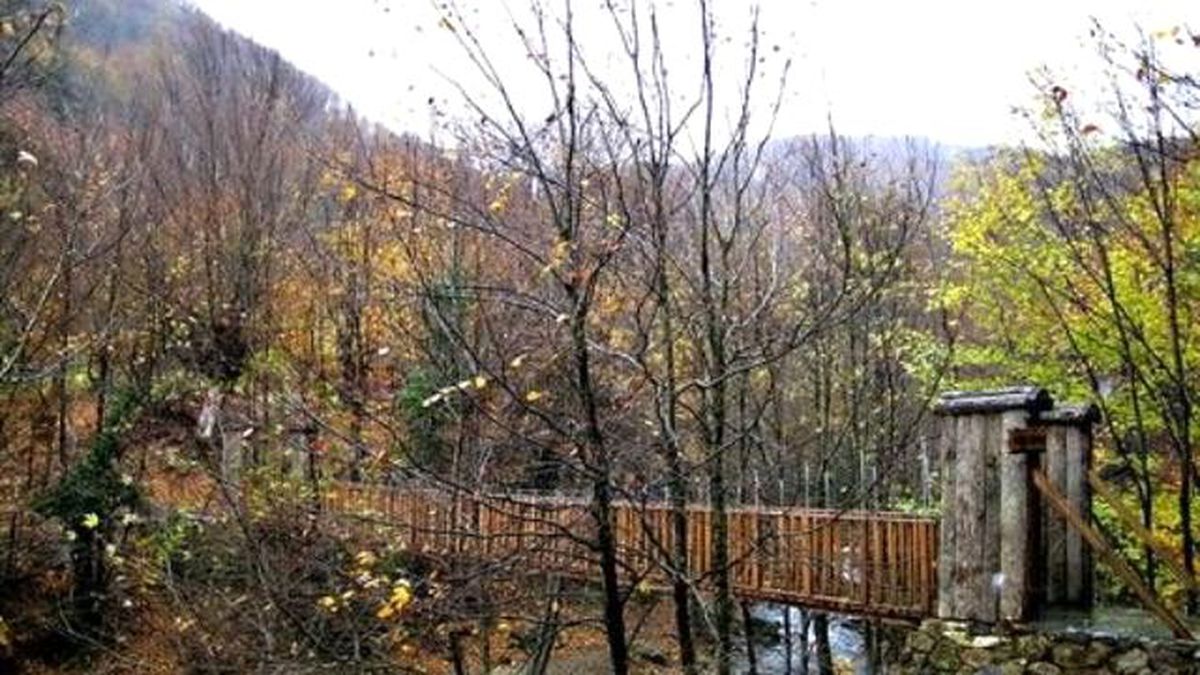 Yalova Kent Ormanı Büyülüyor
