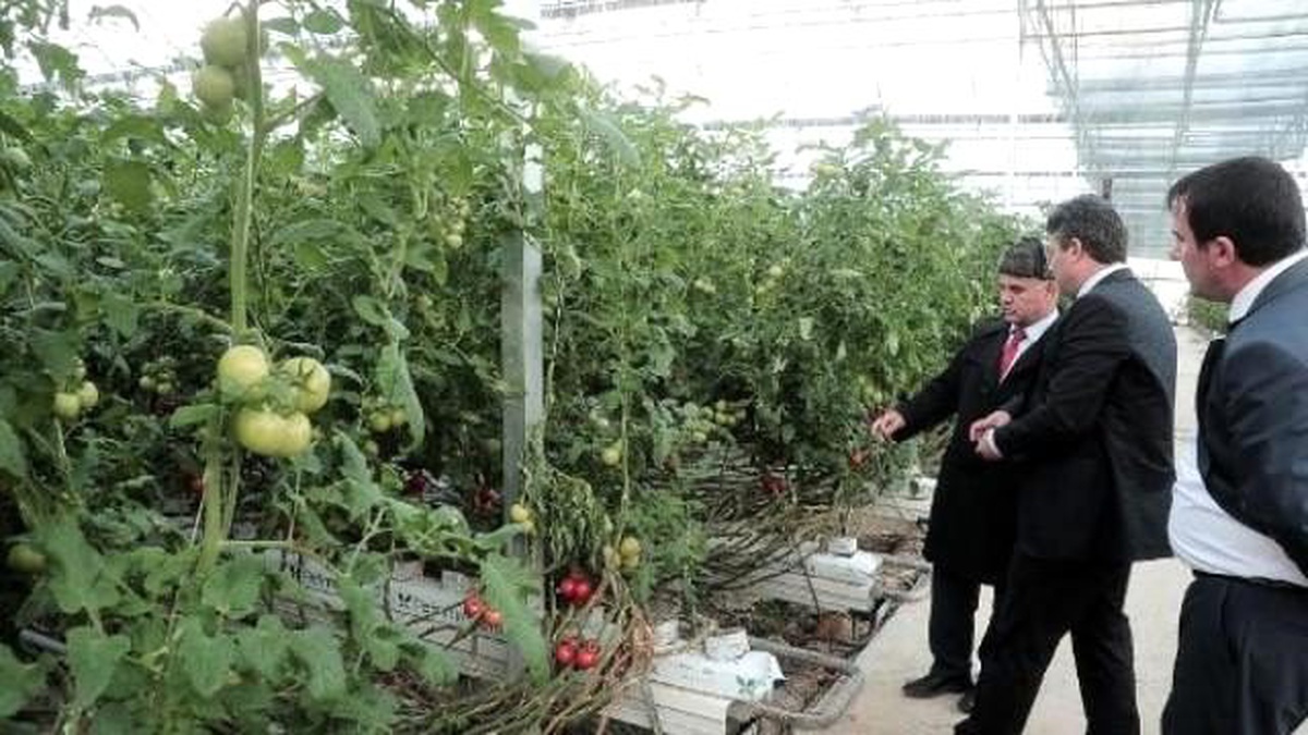 Yozgat\'ta Topraksız Tarım Uygulaması