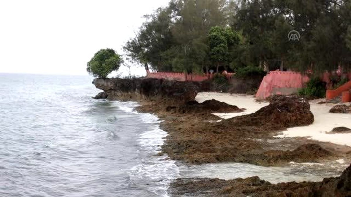 Zanzibar\'da "Kaplumbağalar Ülkesi"