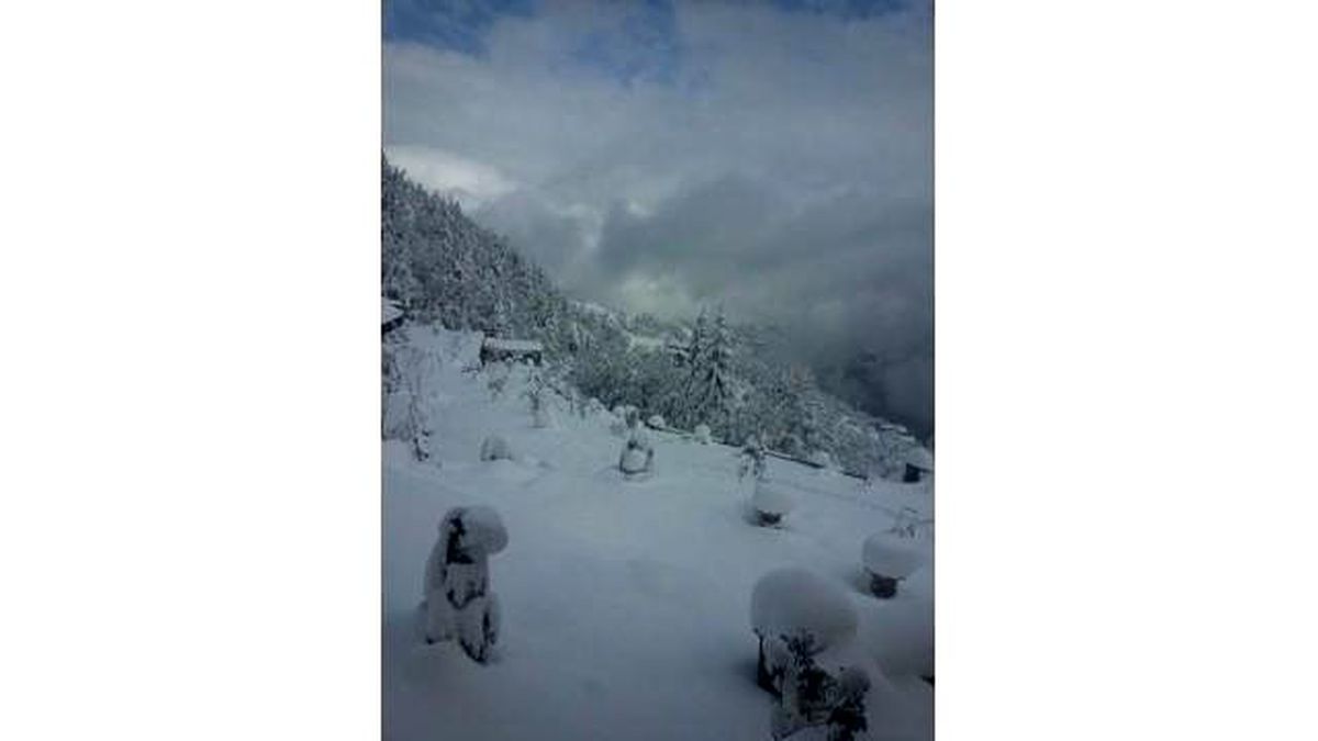 Artvin\'de Kar Yağışı