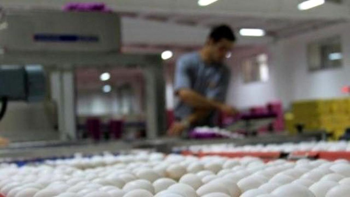 Kayseri\'de Toptan Yumurta Fiyatları Arttı