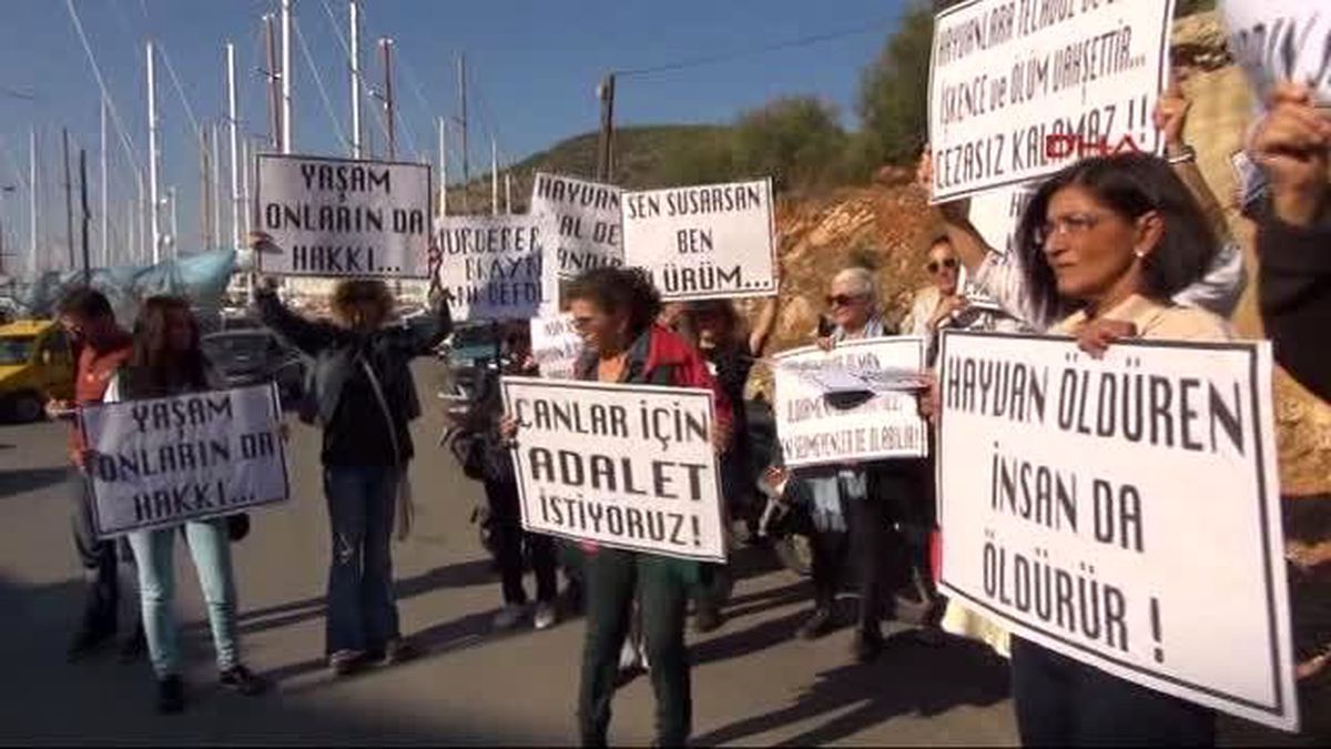 İngiliz Vatandaşın Köpek Vahşeti Bodrum\'da Protesto Edildi