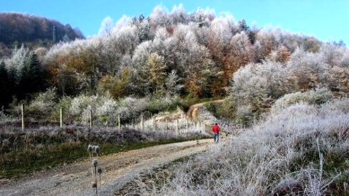 Bolu\'da Kırağı Güzelliği