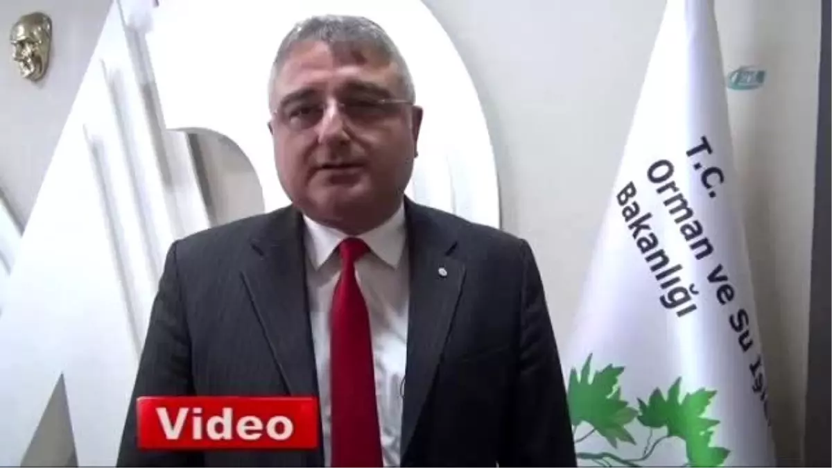 Ceset Yiyen Ayı Foto Kapanla Tespit Edildi