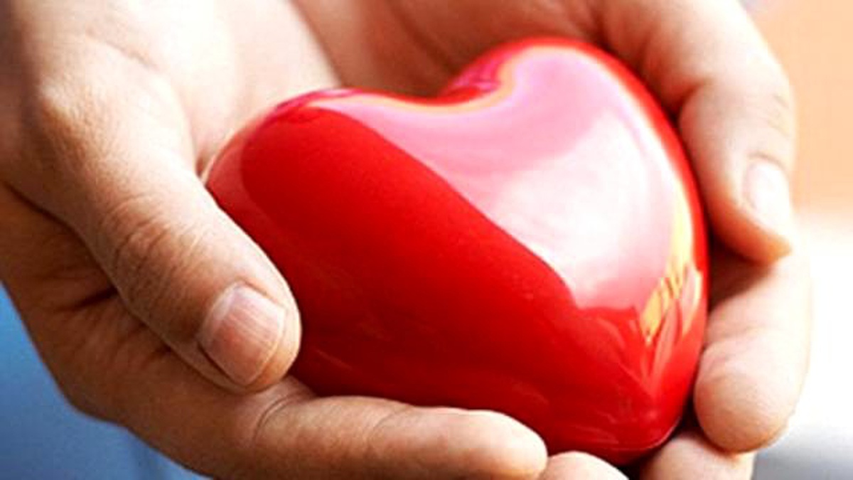 Dr. Pamukçu\'dan Organ Nakli Açıklaması