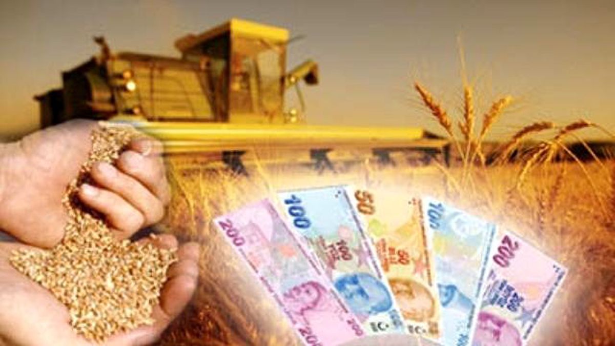 Ekonomik Yatırımların Desteklenmesi Programı