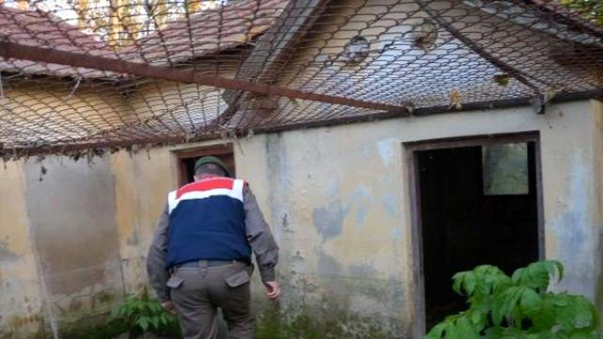 Kaybolan 85 Yaşındaki Adamı Afad ve Jandarma Arıyor