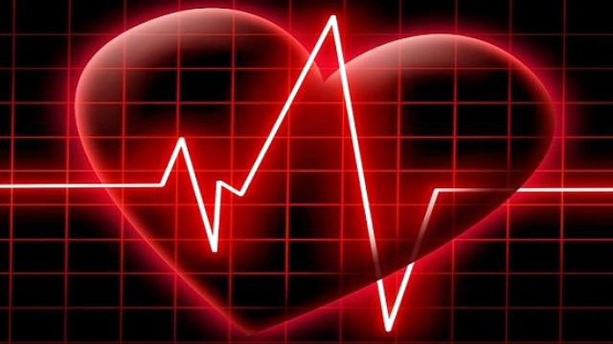 Organ ve Doku Bağışı Haftası