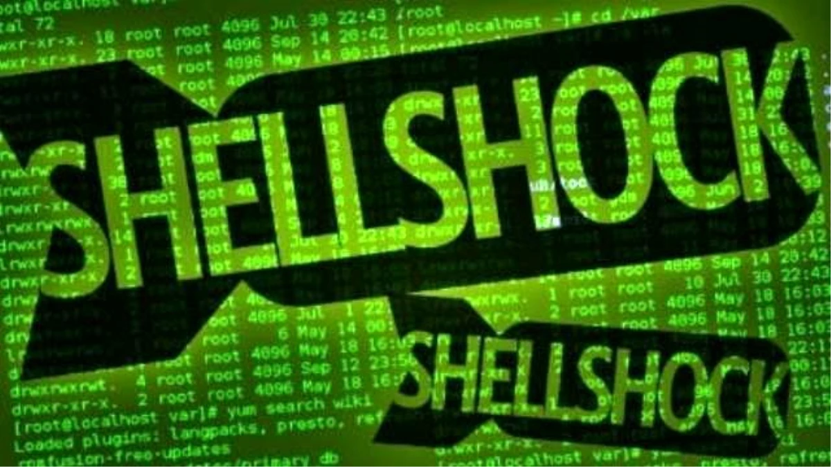 Shellshock İş Başında!