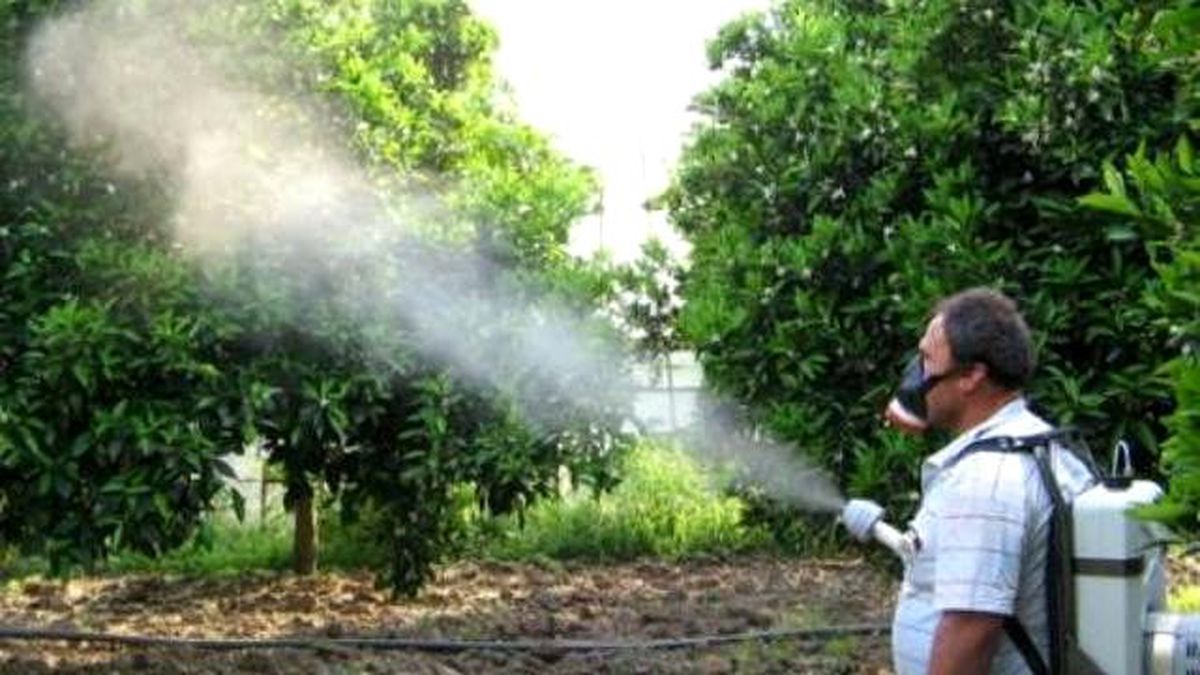 Tarımda Kimyasal Zirai İlaç Kullanımını Azaltılması