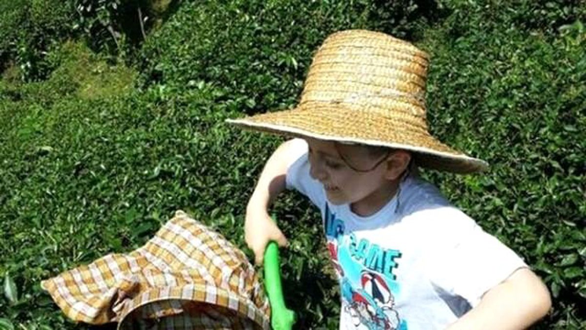 Rize\'de Balkondan Düşen Bedirhan Kurtarılamadı