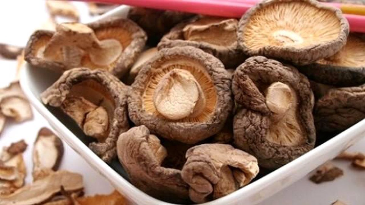 Denizli\'de Mantar Bir Aileyi Zehirledi