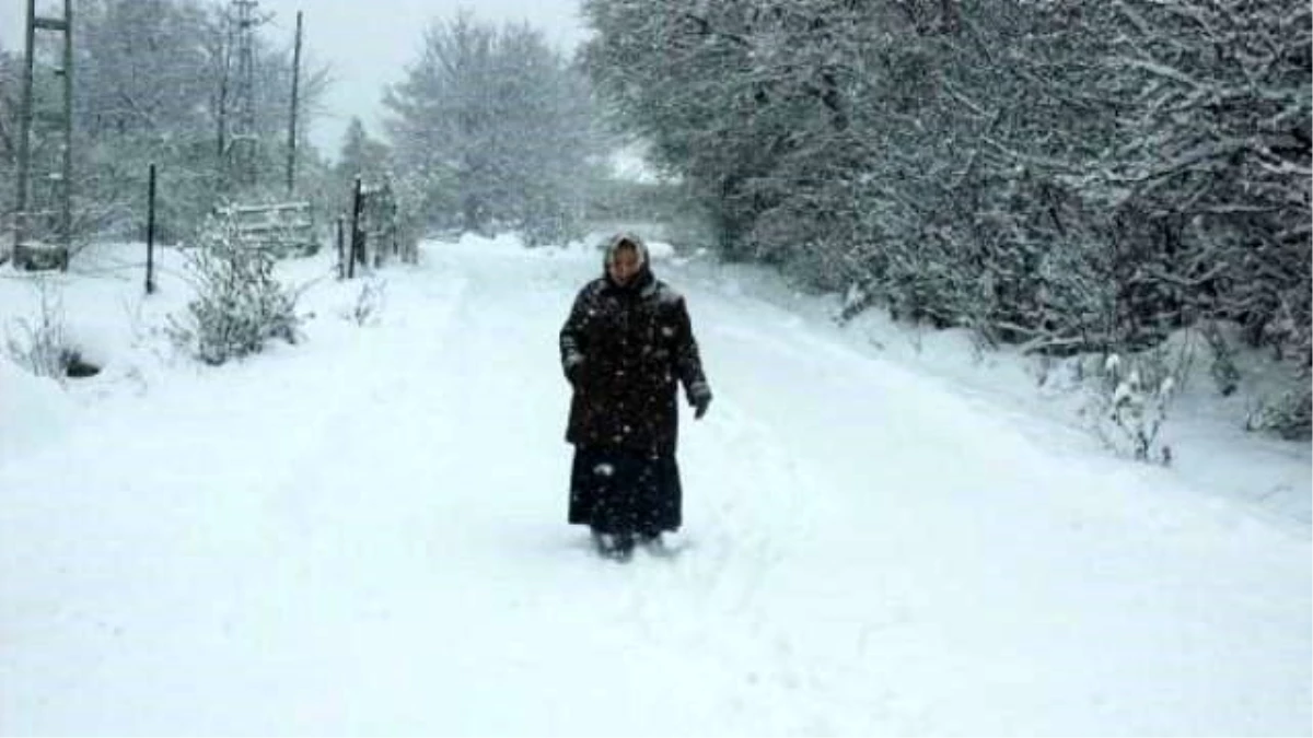Posof\'ta Kar Yaşamı Durdurdu