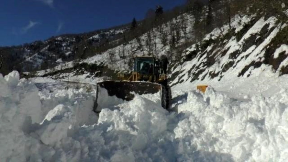 Artvin\'de Karla Mücadele ve Sağlık Ekiplerinin Hastalara Ulaşmak İçin Verdikleri Mücadele Dikkat...