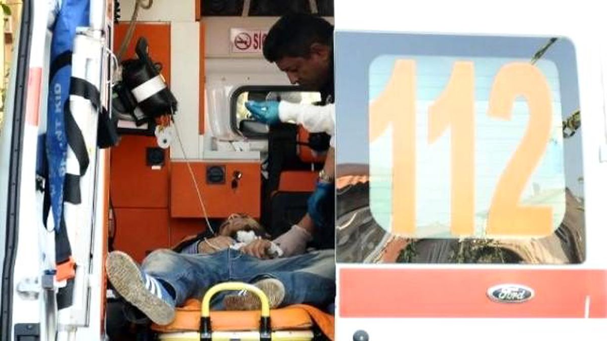 Bonzai, Ardından Tiner Kullandılar