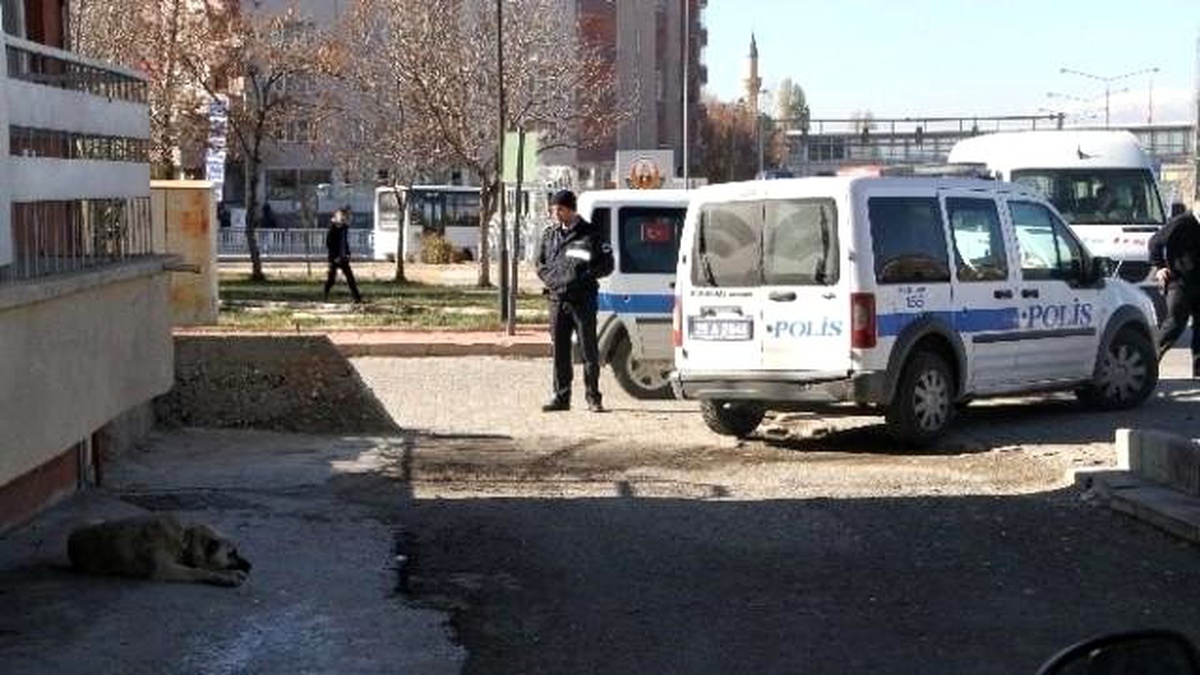 Erzurum\'da Sokak Köpeği 4 Öğrenciye Saldırdı