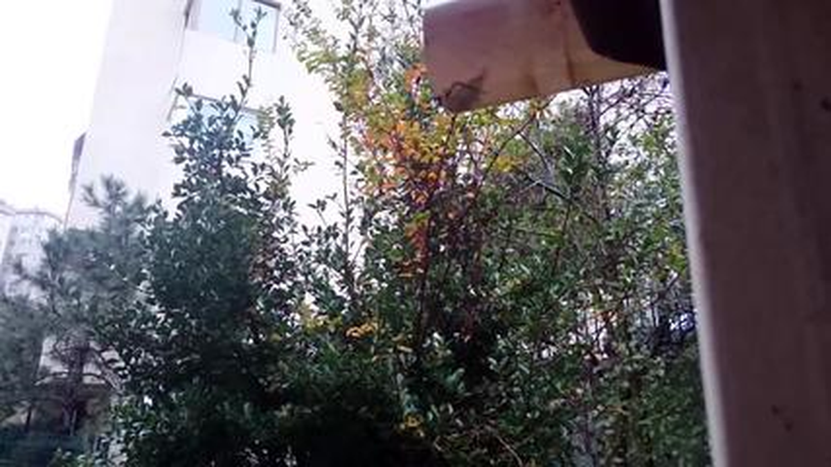 Sony Xperia Z3 İncelemesi - Teknolojiye Atarlanan Adam