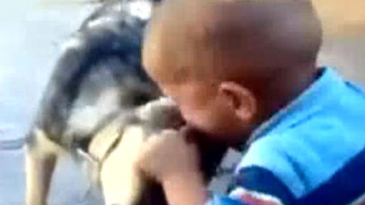 Yüzyıllık Klişe Gerçek Oldu Ama Adam Değil Bebek Köpeği Isırdı!