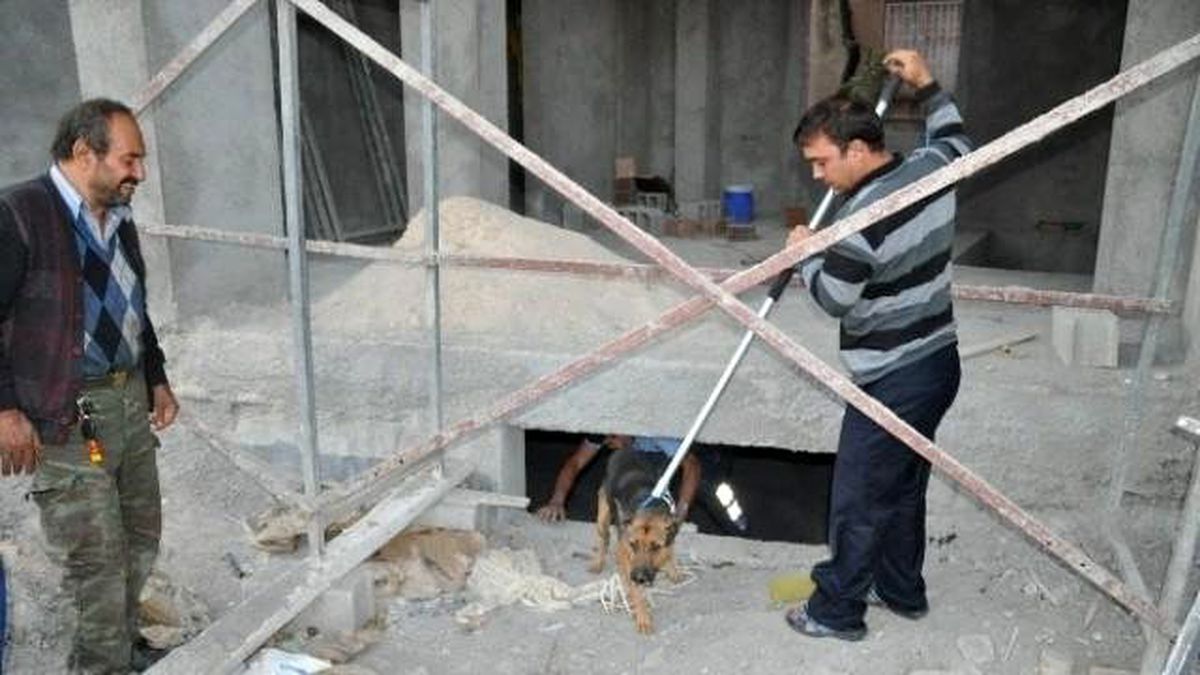 Kozan\'da İnşaatın Bodrum Katına Düşen Köpeği İtfaiye Kurtardı