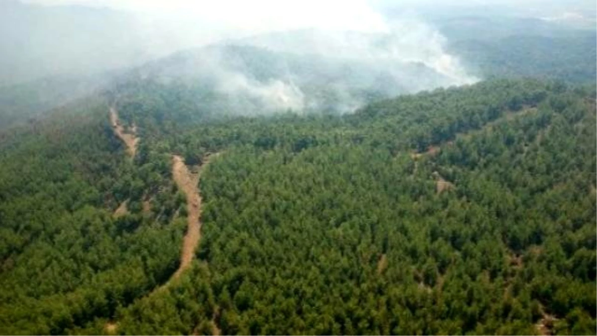 Isparta Bölgesinde Orman Yangınlarında Azalma