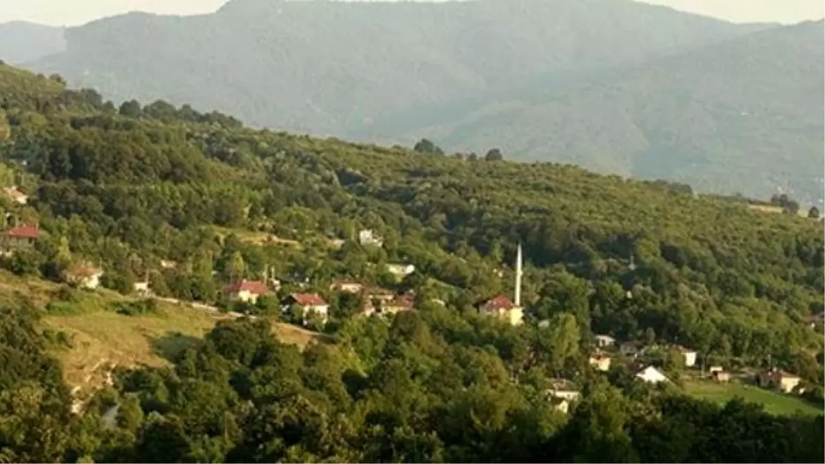 Kartepe Ekoköy\'de Festival Heyecanı Bu Hafta Sonu