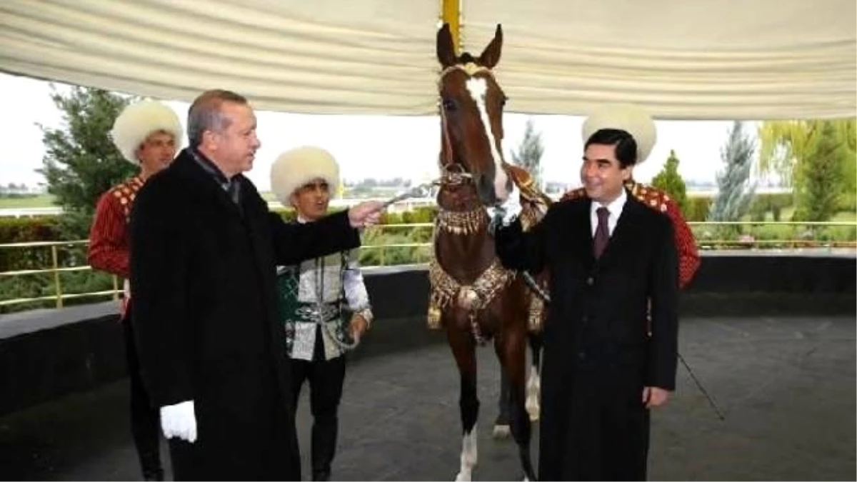 Türkmenistan Devlet Başkanı Berdimuhamedov, Cumhurbaşkanı Erdoğan\'a At Hediye Etti