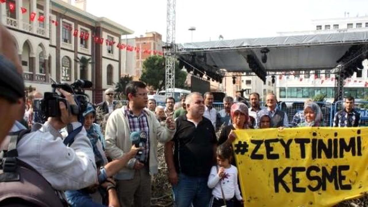 Yırca\'da Köylüler Dövüldü, 6 Bin Zeytin Ağacı Kesildi (3)