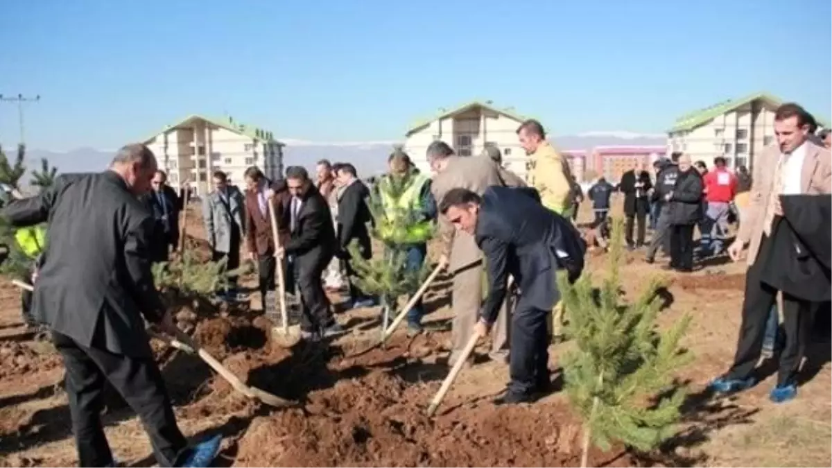 Bir Kan Bir Fidan Kampanyası