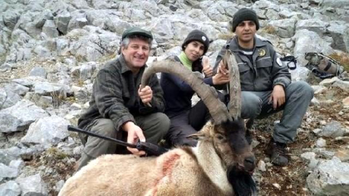 12 Yaban Keçisi 214 Bin Liraya Avlanacak
