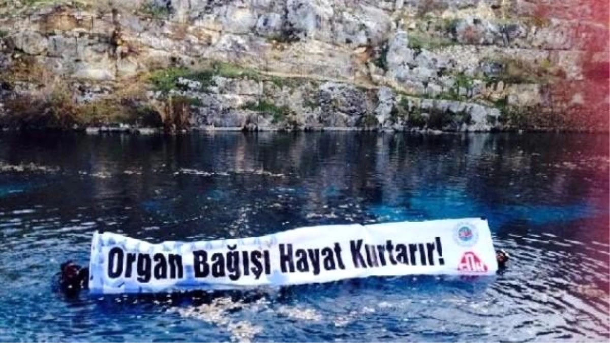 Doktorlar Göle Dalarak Organ Bağışına Dikkat Çekti