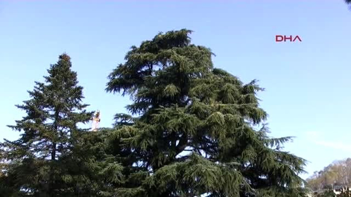 Giresun Add Atatürk?ü, \'Cumhuriyet Ağacı\' Adını Verdikleri Ağacın Altında Andı