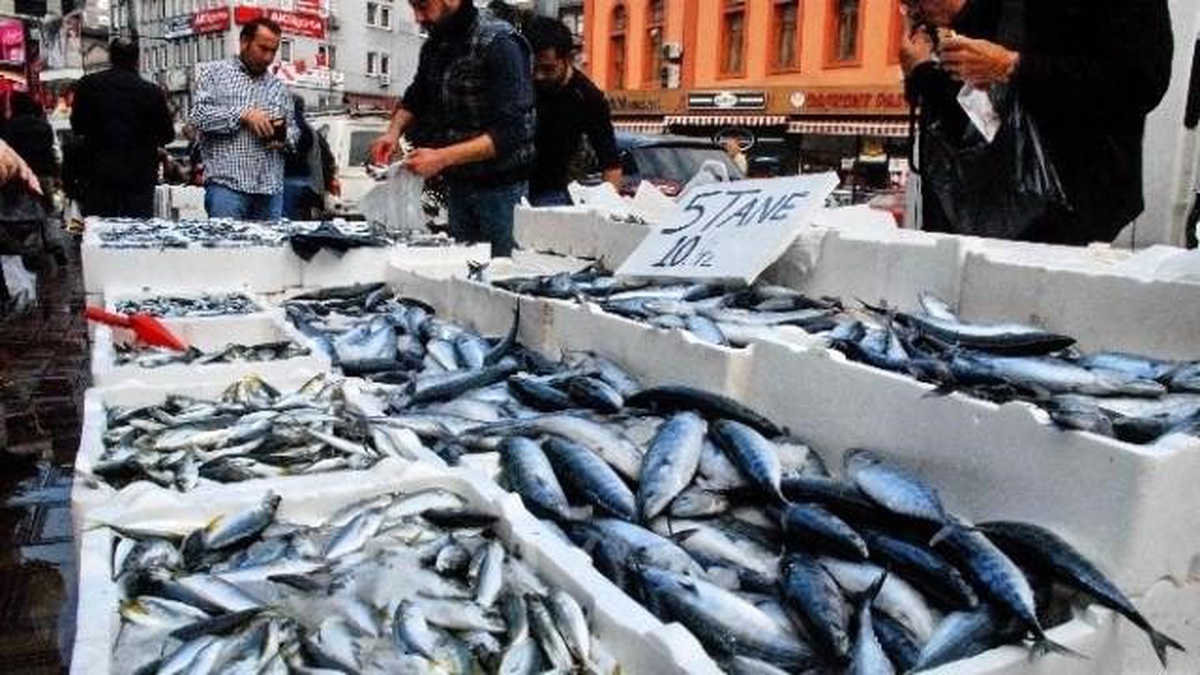 Zonguldak\'ta Palamutun Tanesi 2 Liraya Kadar Düştü