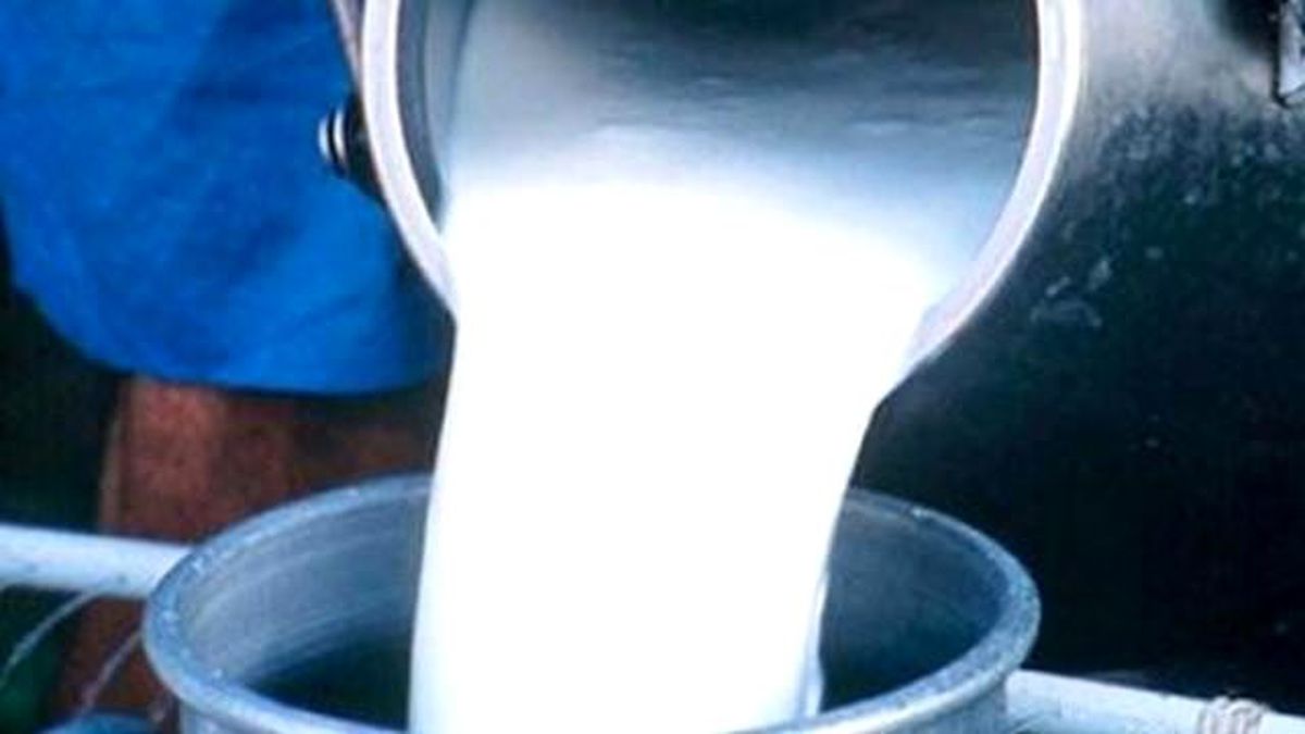 Türkiye\'de Eylülde 648 Bin 573 Ton İnek Sütü Toplandı