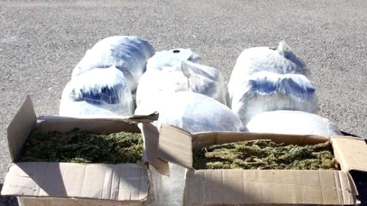 Gaziantep\'te 150 Kilo Esrara 5 Tutuklama