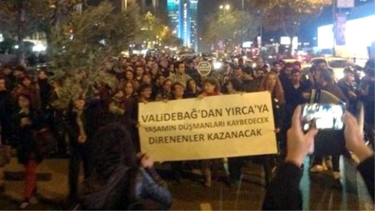 İstanbul\'da Zeytin Dallı Protesto