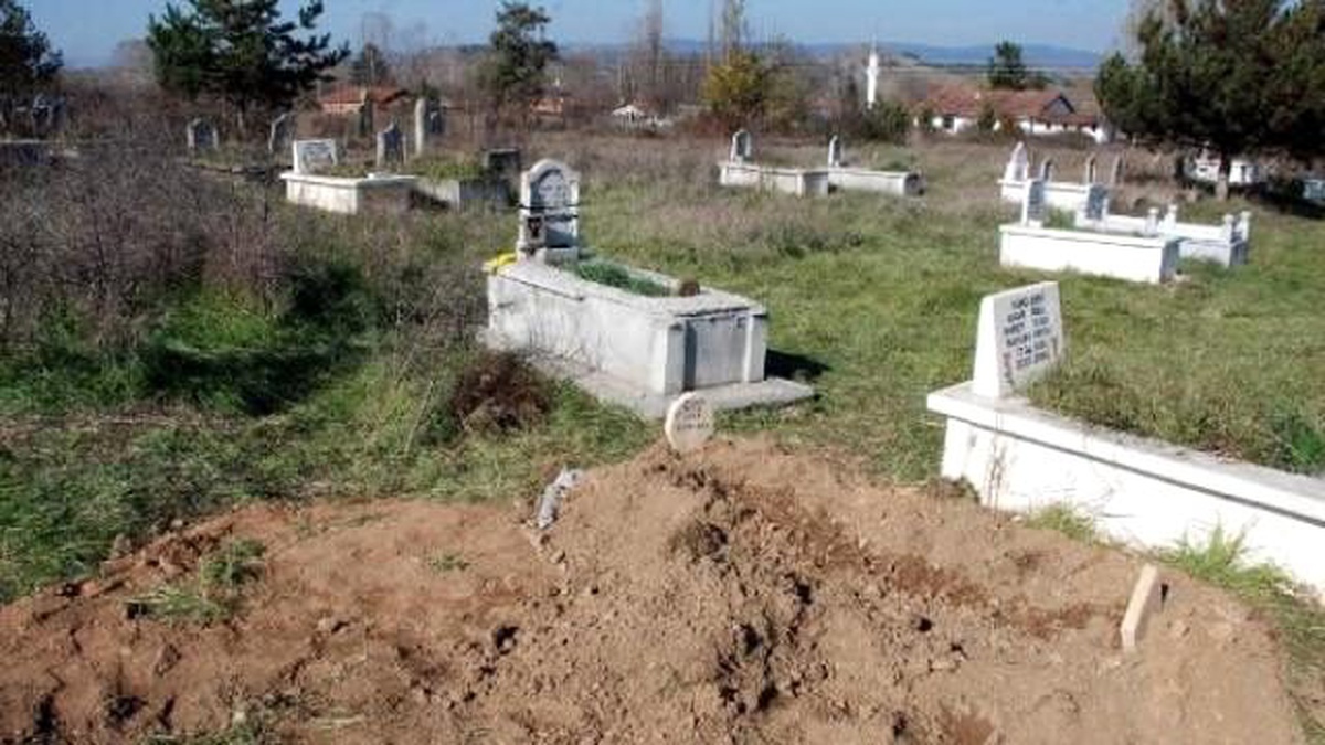 Mezar Açmaya Çalışan Ayı İçin Fotokapan Kuruldu